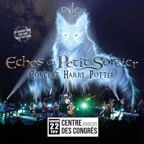 Neko Light Orchestra - Echos du Petit Sorcier à Angers