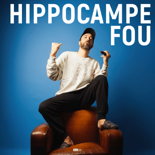 Concert Hippocampe Fou Nantes