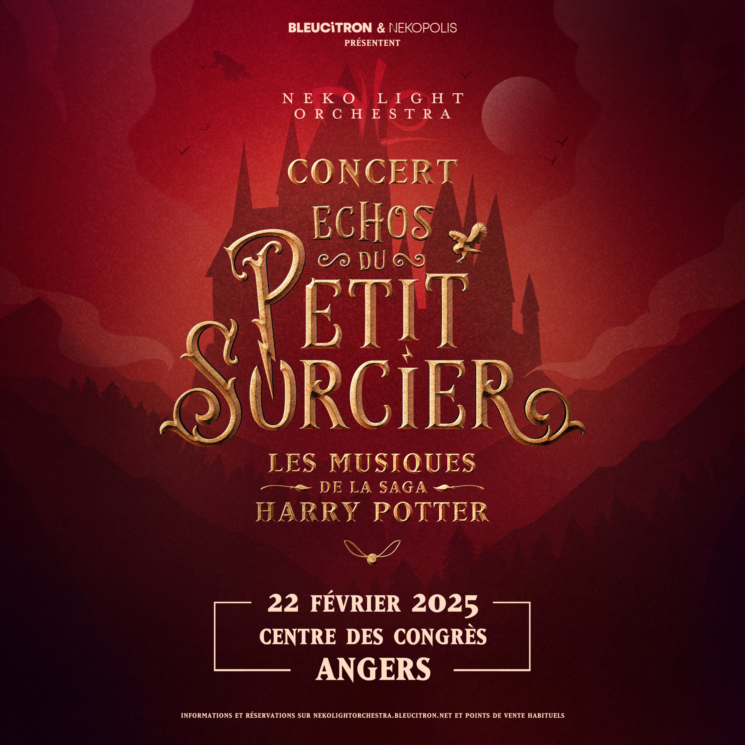 concert echos du petit sorcier angers