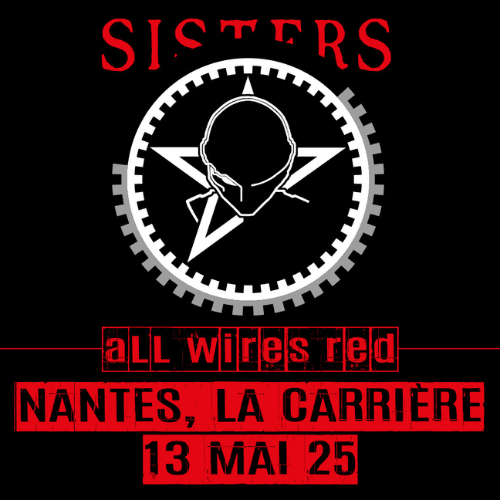 Concert the sisters of mercy Nantes