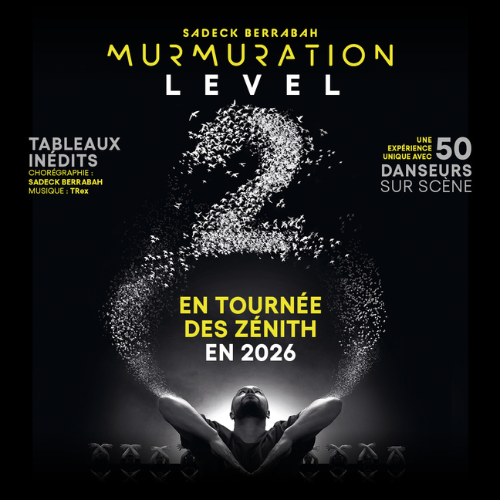 Spectacle Murmuration Nantes & Angers